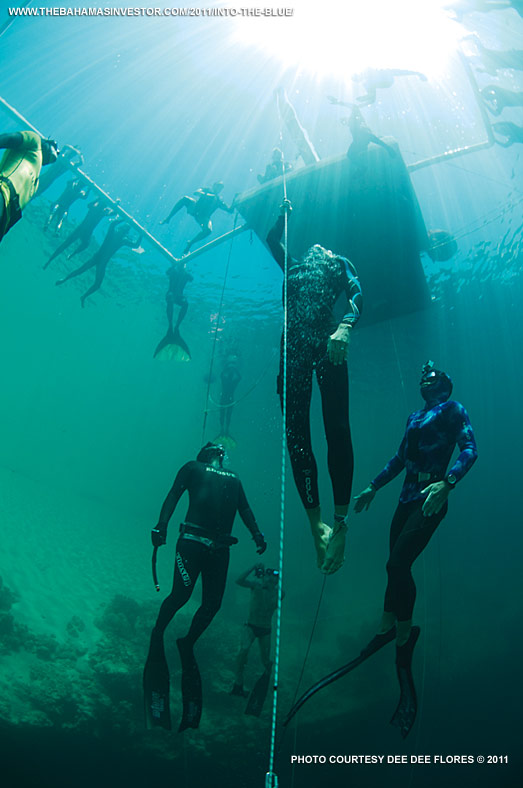 Free Diving The Bahamas