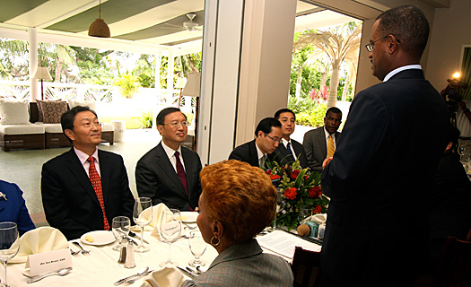 Welcome luncheon in honour of the visit of Yang Jiechi