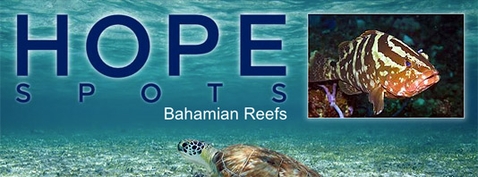 Bahamas praised for conservation efforts