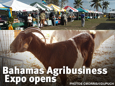 Agribusiness Expo