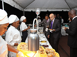Diplomatic Week state reception - photos