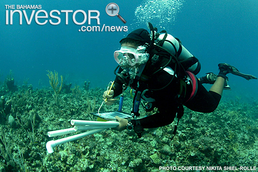 Nikita Shiel-Rolle monitoring coral reef health