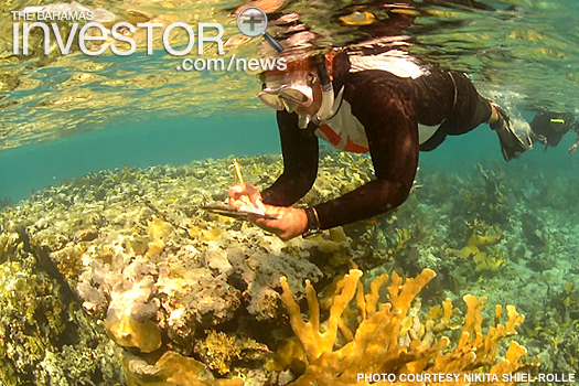 Nikita Shiel-Rolle and Coral Conservation Team