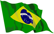 Brazil Flag