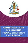 Finance Ministry releases six month budget performance report – PDF